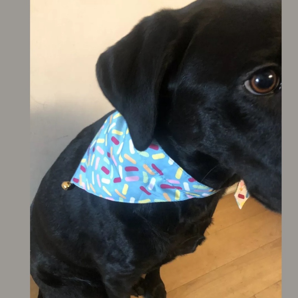Dog Birthday Bandana Reversible NEW S/M or M/L - Picture 4 of 7